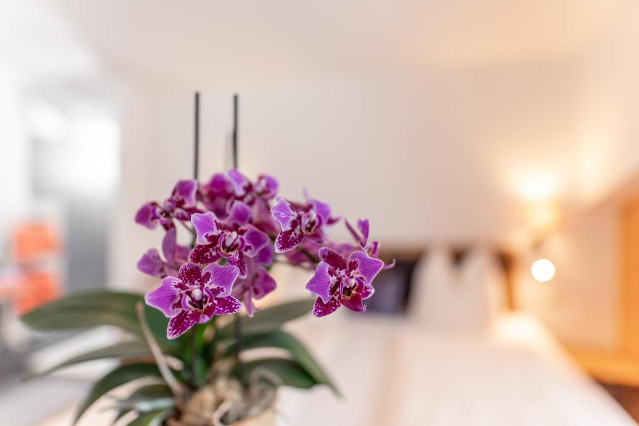 Aparthotel Wellnesshaus Reichelt Radstadt Esterno foto